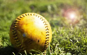 lessons from the dugout