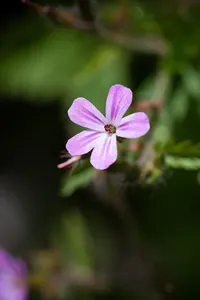 DSC01725 (2)